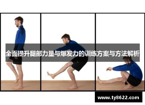 全面提升腿部力量与爆发力的训练方案与方法解析